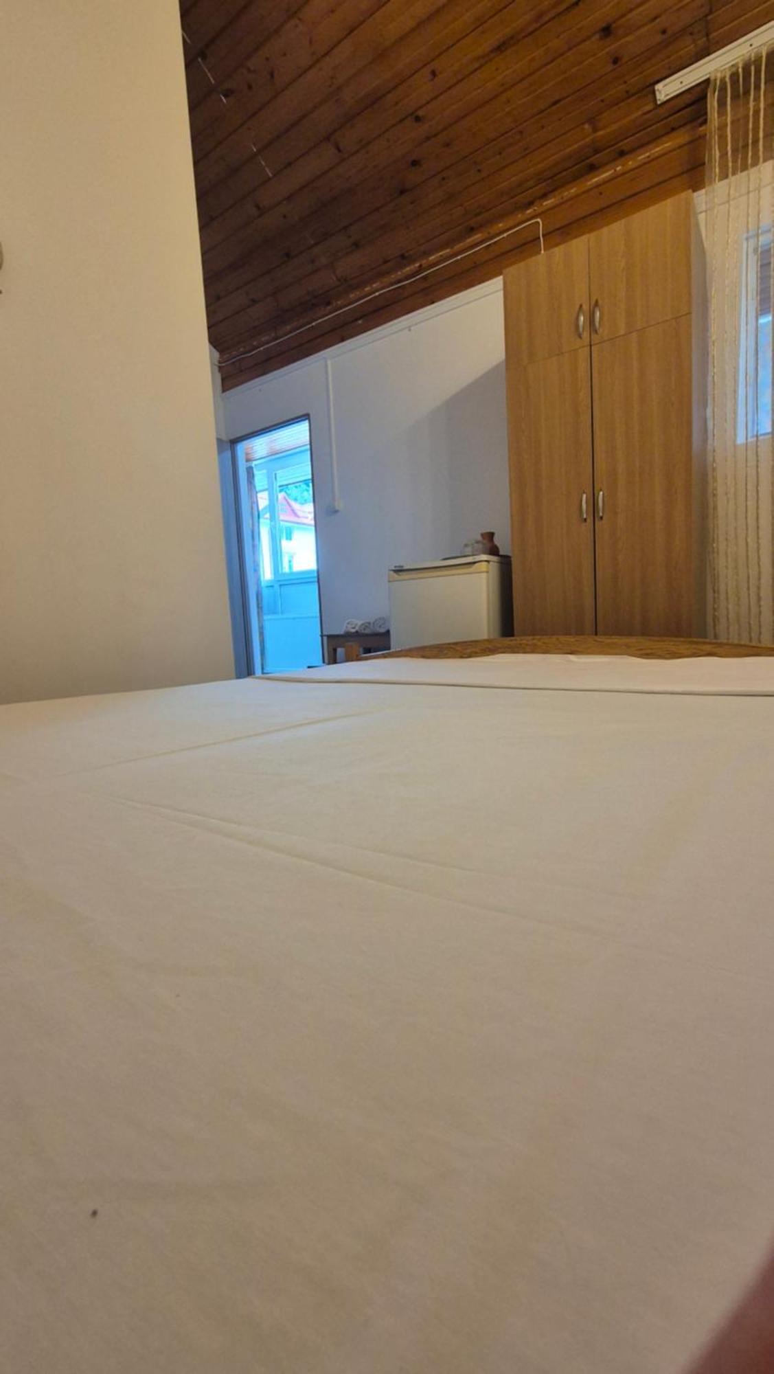 Vila Crinilor Călimăneşti Екстериор снимка